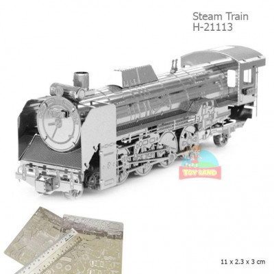 H-21113 Steam Train